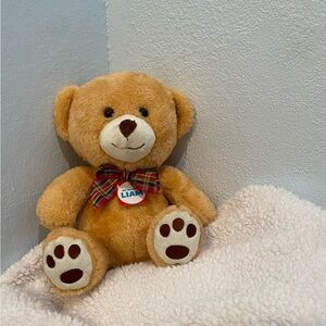 NWT Teddy Bear
